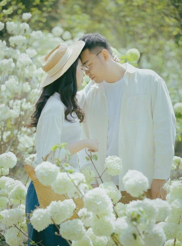 动物拼一拼